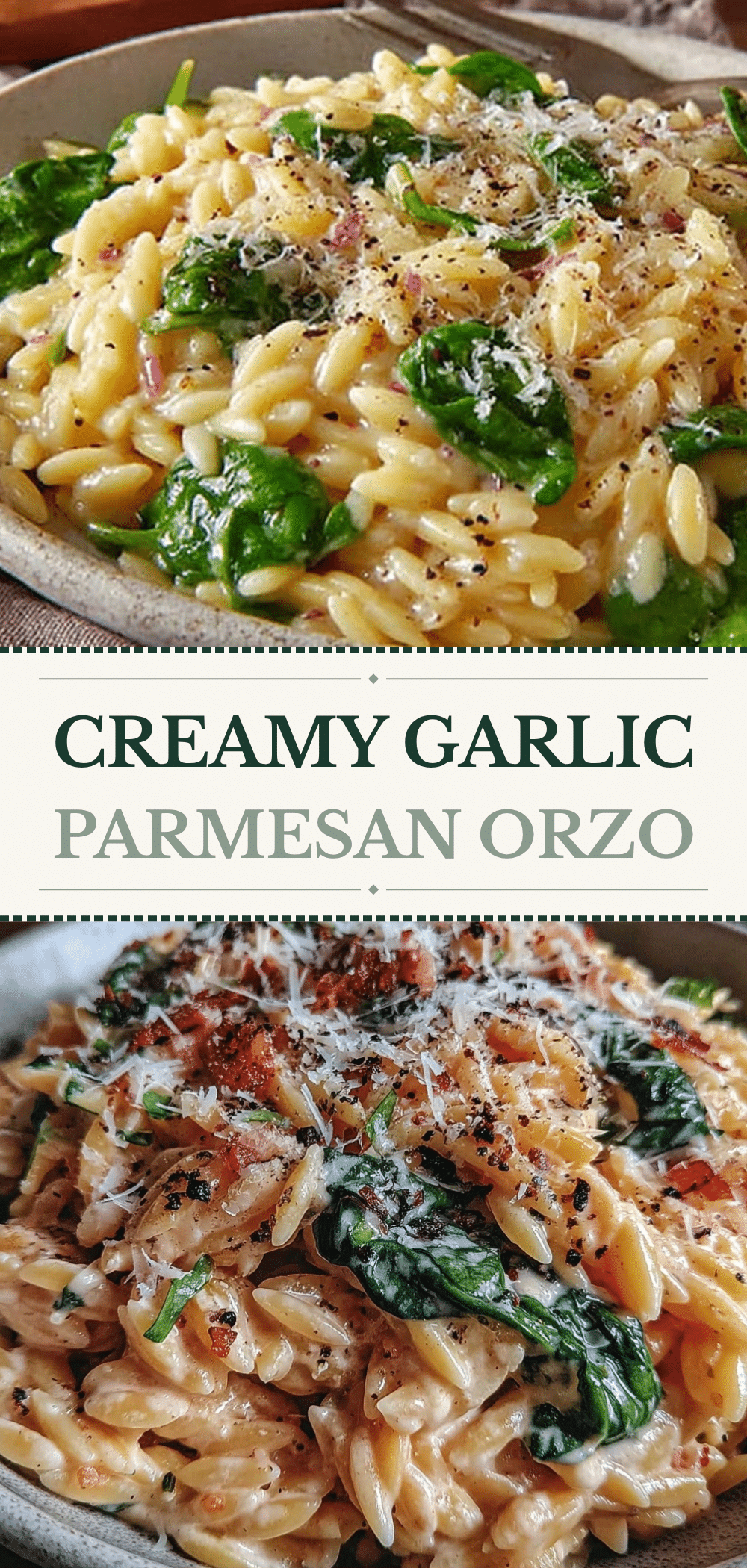 Creamy Garlic Parmesan Orzo: 20 Min Budget Family Meal 5 creamy garlic parmesan orzo recipe